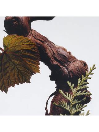 Jo Malone London Cypress & Grapevine All Over Body Spray