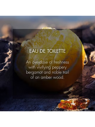 DIOR Limited Edition Sauvage Spray for the Wild Parfum