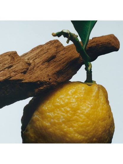 Jo Malone London Oud & Bergamot Cologne Intense