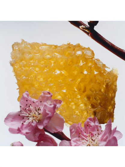 Jo Malone London Nectarine Blossom & Honey Cologne