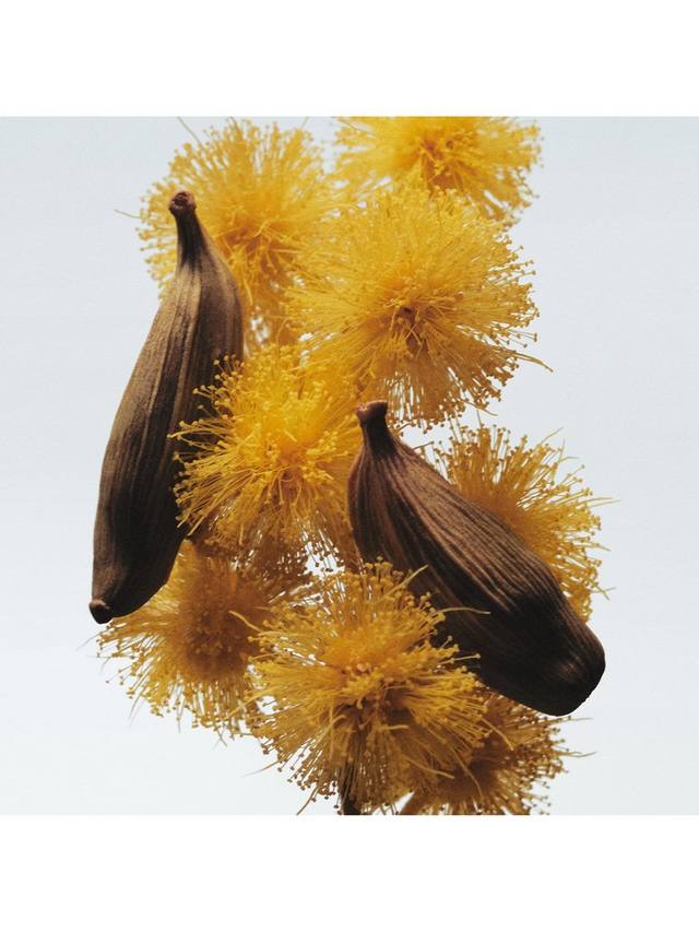 Jo Malone London Mimosa & Cardamom Cologne