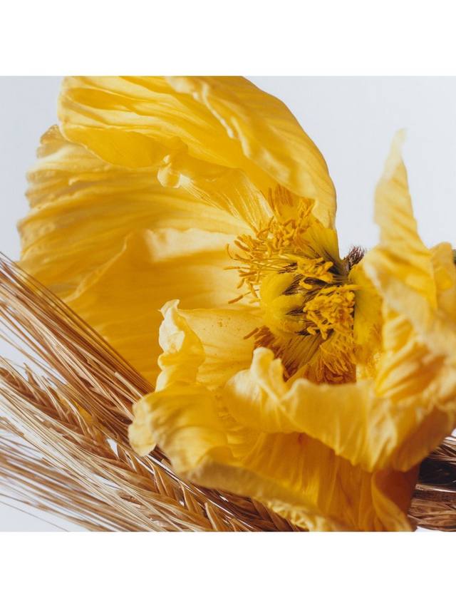 Jo Malone London Poppy & Barley Cologne