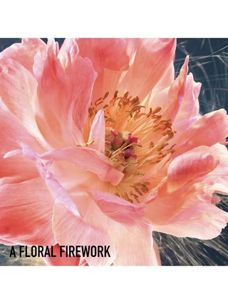 JOY by DIOR Eau de Parfum Intense