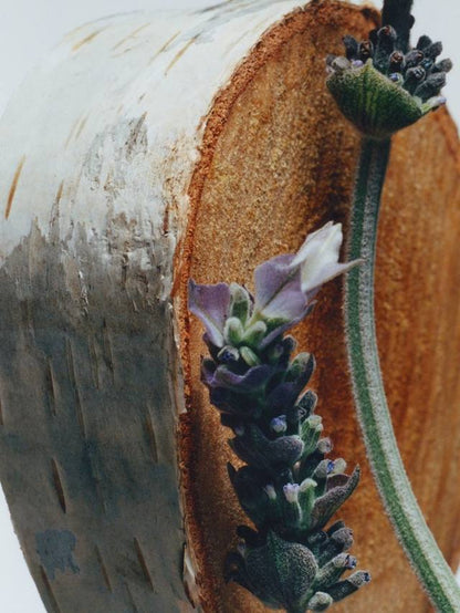 Jo Malone London Silver Birch & Lavender Cologne