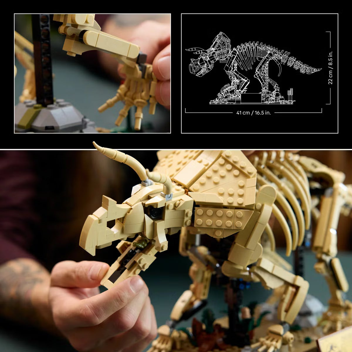LEGO Jurassic World Dinosaur Fossils: Triceratops - Model 77985 (18+ Years)