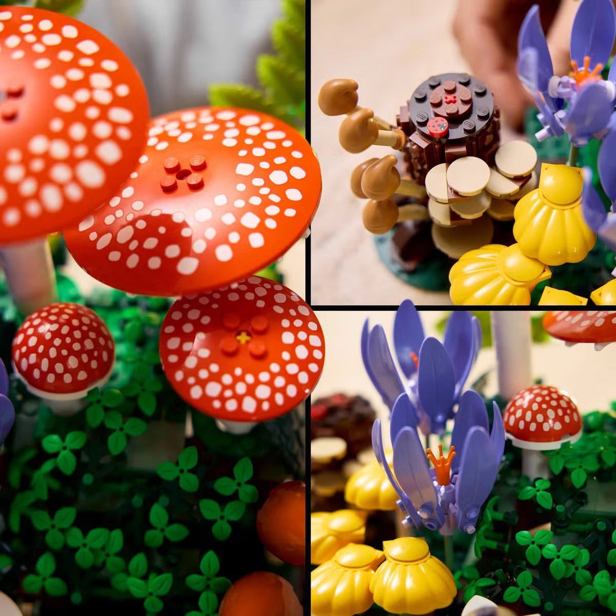 LEGO Botanicals Woodland Mushrooms - Model 11505 (18+ Years)