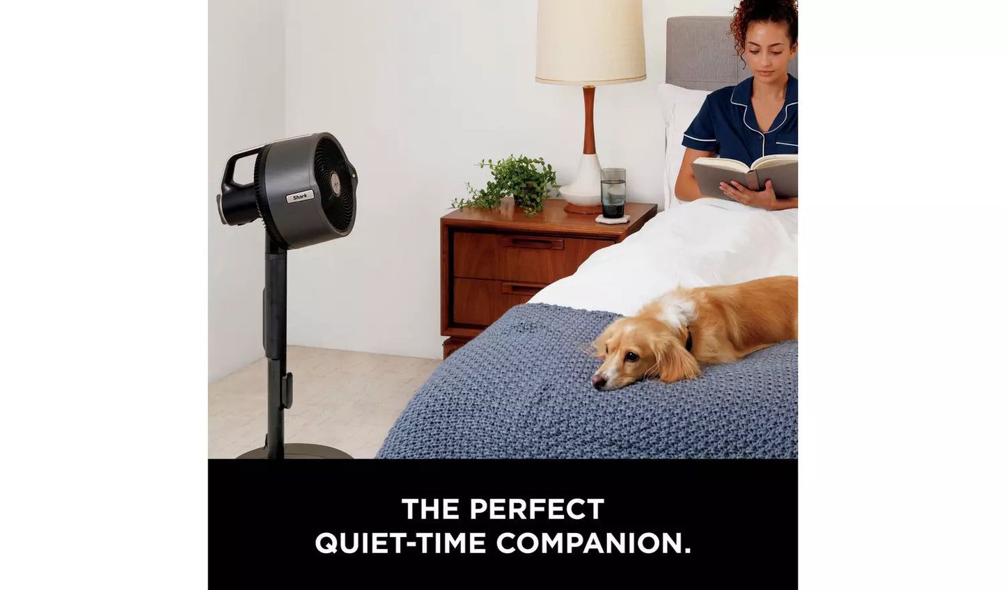 SHARK FlexBreeze Pro Mist Indoor and Outdoor Pedestal Fan