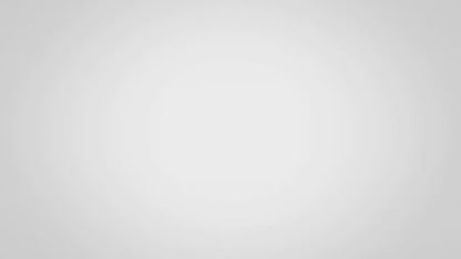 SHARK Carpet Cleaner - Navy